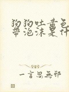 狗狗吐黄色液体带泡沫是什么原因