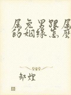 属兔男跟属龙女的姻缘怎么样