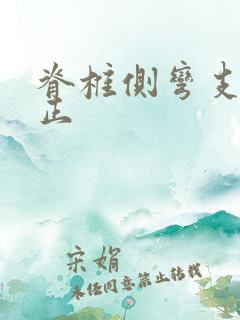 脊椎侧弯支具纠正