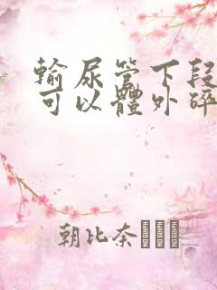 输尿管下段结石可以体外碎石吗