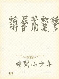 输尿管软镜取石术费用是多少