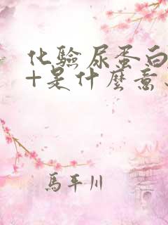 化验尿蛋白质3+是什么意思