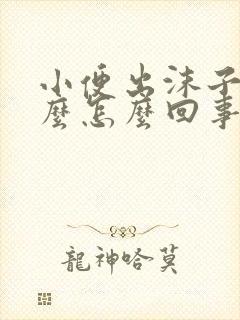 小便出沫子是什么怎么回事