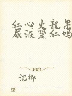 红心火龙果会让尿液变红吗