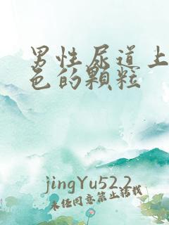 男性尿道上有白色的颗粒