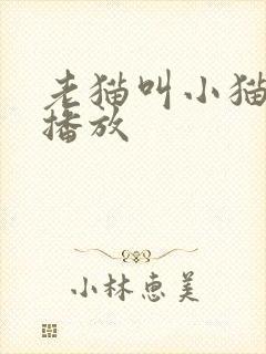 老猫叫小猫声音播放