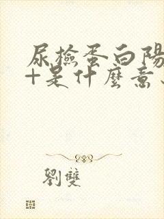 尿检蛋白阳性2+是什么意思