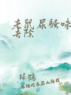 老鼠尿骚味怎样去除