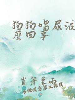 狗狗喝尿液是怎么回事