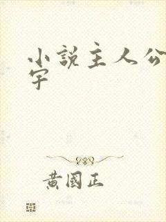 小说主人公王思宇