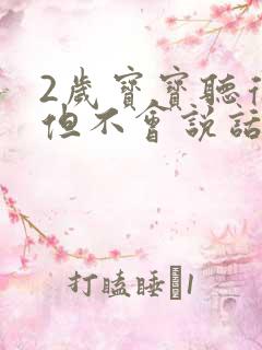 2岁宝宝听得懂但不会说话