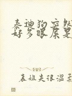 泰迪狗突然眼睛好多眼屎是什么原因