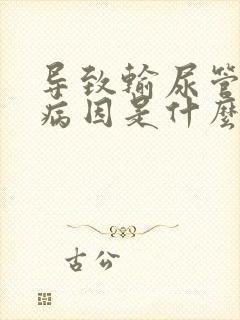 导致输尿管结石病因是什么