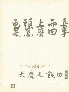 龟头上面长红痘是怎么回事