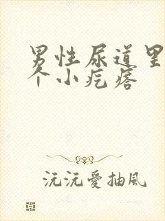 男性尿道里面有个小疙瘩