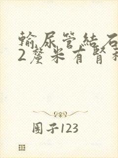 输尿管结石1.2厘米有肾积水如何治疗