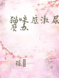 猫咪应激尿闭怎么办