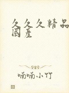 久久久精品99国产