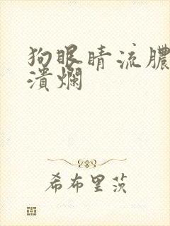 狗眼睛流脓周围溃烂