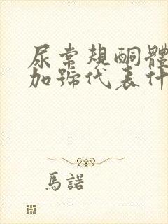 尿常规酮体三个加号代表什么