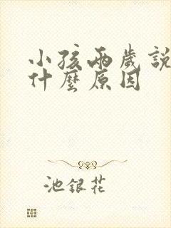 小孩两岁说话晚什么原因