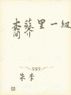 木苏里一级律师简介