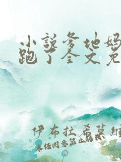 小说爹地妈咪又跑了全文免费阅读