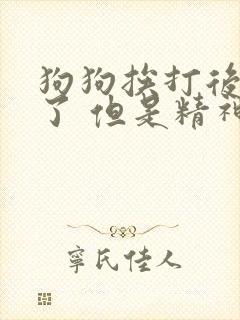 狗狗挨打后尿血了 但是精神很好