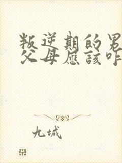 叛逆期的男孩打父母应该咋办