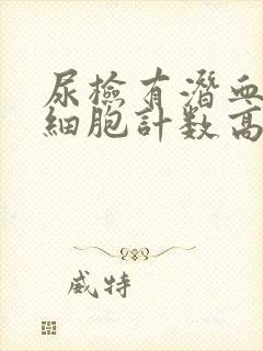 尿检有潜血和红细胞计数高