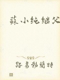 苏小纯继父小说