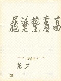 尿液检查有白细胞是怎么回事啊