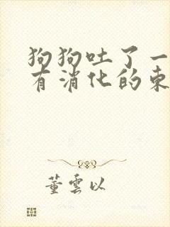 狗狗吐了一堆没有消化的东西怎么办