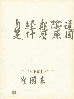 月经期阴道口痒是什么原因引起的