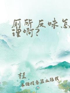 厕所反味怎么处理啊?