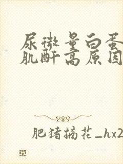 尿微量白蛋白尿肌酐高原因