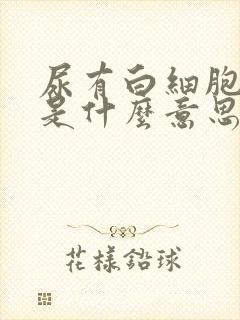 尿有白细胞1+是什么意思