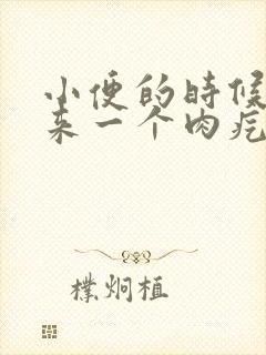 小便的时候掉出来一个肉疙瘩