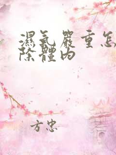 湿气严重怎么排除体内