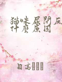 猫咪尿闭反复是什么原因