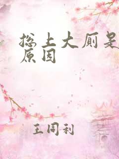 总上大厕是什么原因