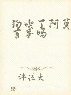 狗吃了阿莫西林有事吗