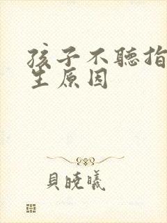 孩子不听指令产生原因