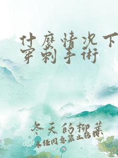 什么情况下做肾穿刺手术