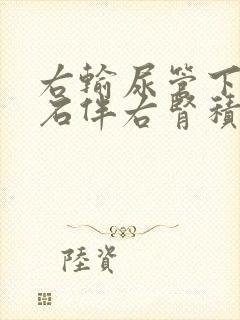 右输尿管下段结石伴右肾积水