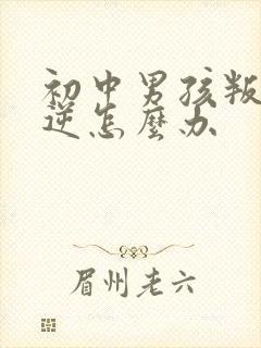 初中男孩叛逆叛逆怎么办