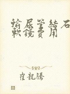 输尿管结石手术软镜费用