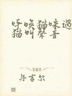 呼唤猫咪过来的猫叫声音