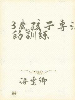 3岁孩子专注力的训练