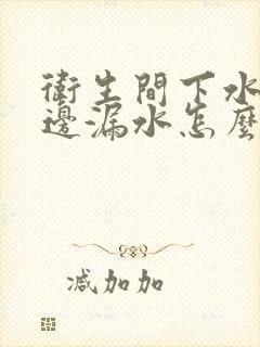 卫生间下水管周边漏水怎么办